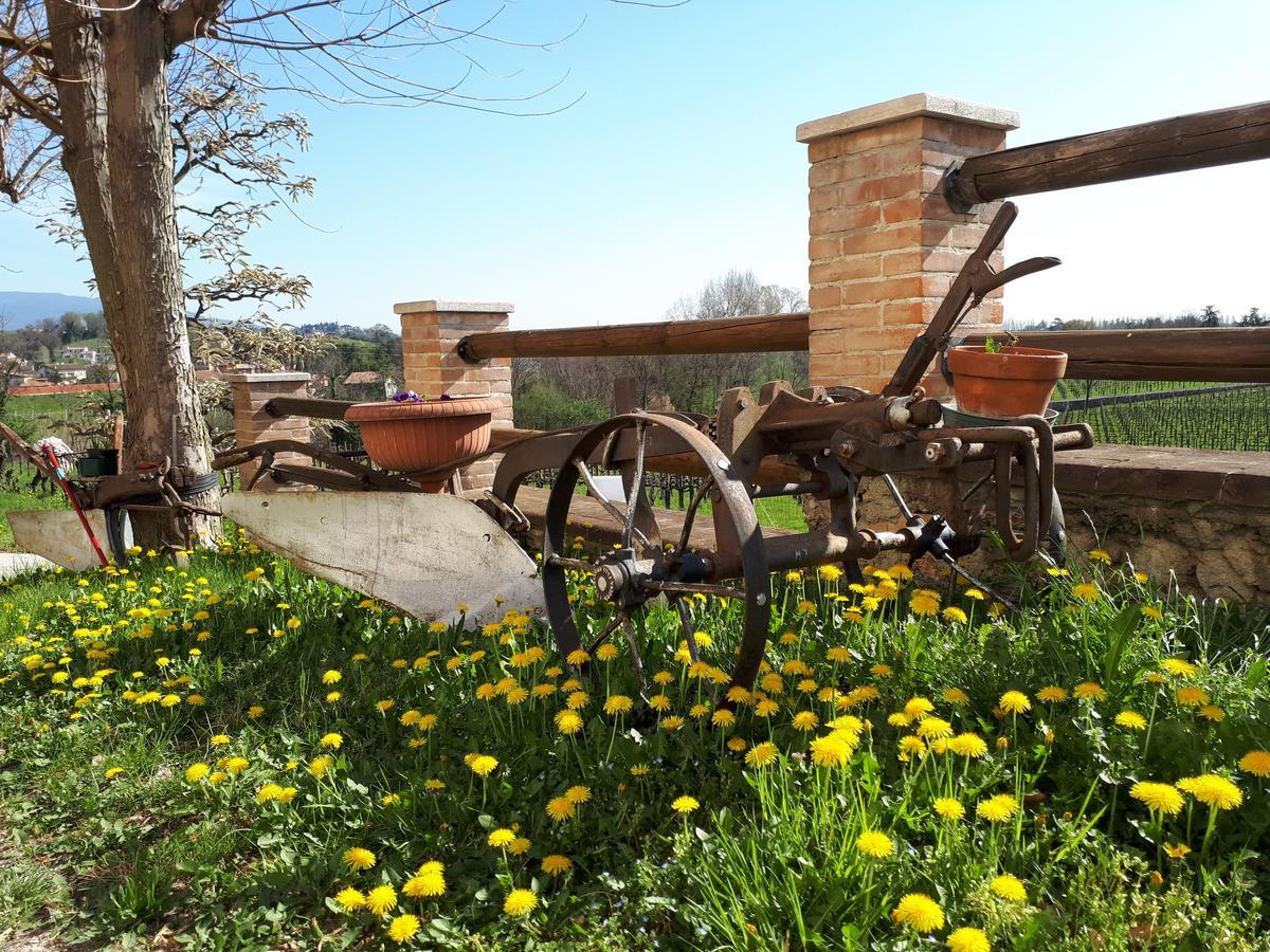 Bed and Breakfast Terre Boscaratto Susegana Exteriér fotografie